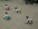 Multi-robot formation maintenance