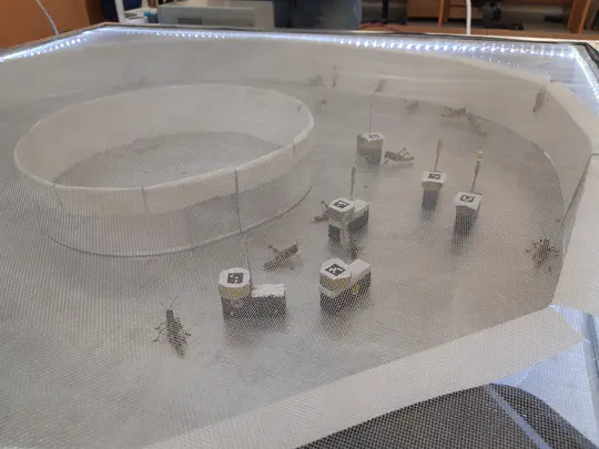 Mixed Robot-Animal Swarms