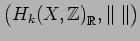 $ \left( H_k(X, {\mathbb{Z}})_{\mathbb{R}}^{\phantom{I}}, \Vert\;\Vert \right)$